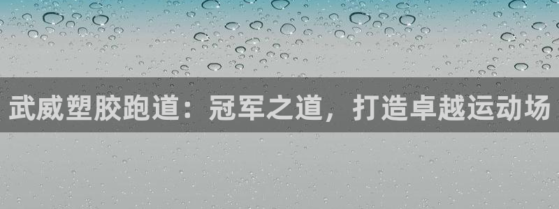 尊龙凯时合法吗?：武威塑胶跑道：冠军之道，打造卓越运