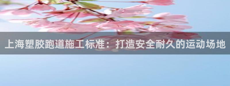 尊龙D88现金旧版：上海塑胶跑道施工标准：打造安全耐久的运动场地