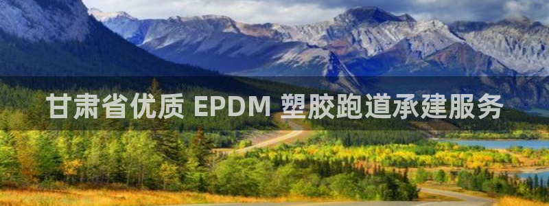 z6com尊龙凯时百家乐下载：甘肃省优质 EPDM 塑胶跑道承建服务