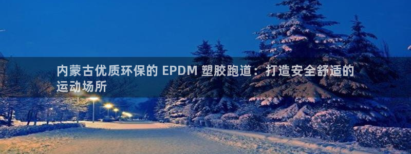 尊龙d88会员：内蒙古优质环保的 EPDM 塑胶跑道