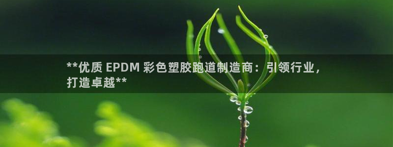 尊龙凯时有限公司：**优质 EPDM 彩色塑胶跑道制