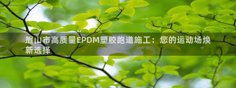 尊龙凯时人生就是搏!官网：眉山市高质量EPDM塑胶跑