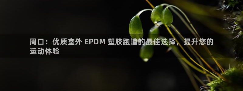 凯时kb88kb88：周口：优质室外 EPDM 塑胶