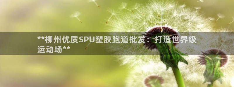 尊龙凯时ag旗舰厅：**柳州优质SPU塑胶跑道批发：打造世界级
运动场**