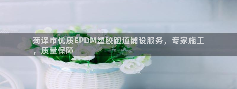 尊龙凯时网：菏泽市优质EPDM塑胶跑道铺设服务，专家