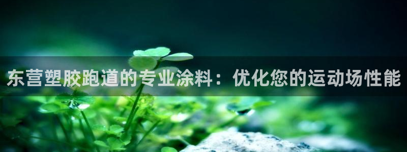 尊龙凯时百家乐手机下载：东营塑胶跑道的专业涂料：优化您的运动场性能