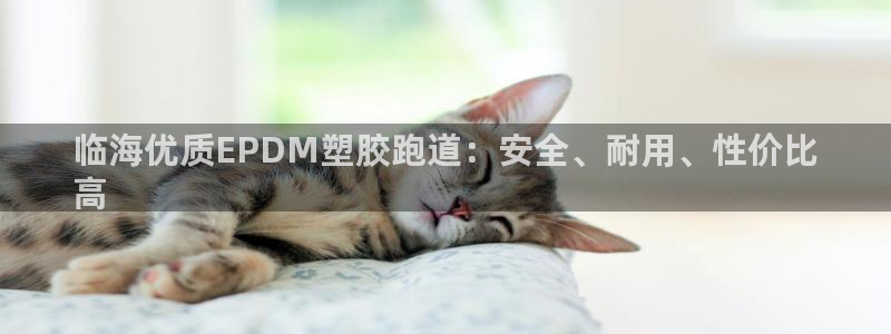 尊龙凯时官网正规吗：临海优质EPDM塑胶跑道：安全、耐用、性价比
高